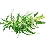 عکس کوچک بذر سبزی مرزه کیان سید