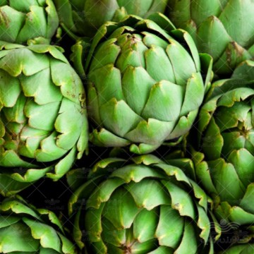 بذر کنگر فرنگی یا آرتیشو وانیاسید