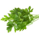 عکس کوچک بذر سبزی جعفری