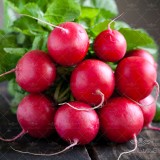 عکس کوچک بذر سبزی تربچه نقلی 2
